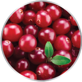 Cranberry